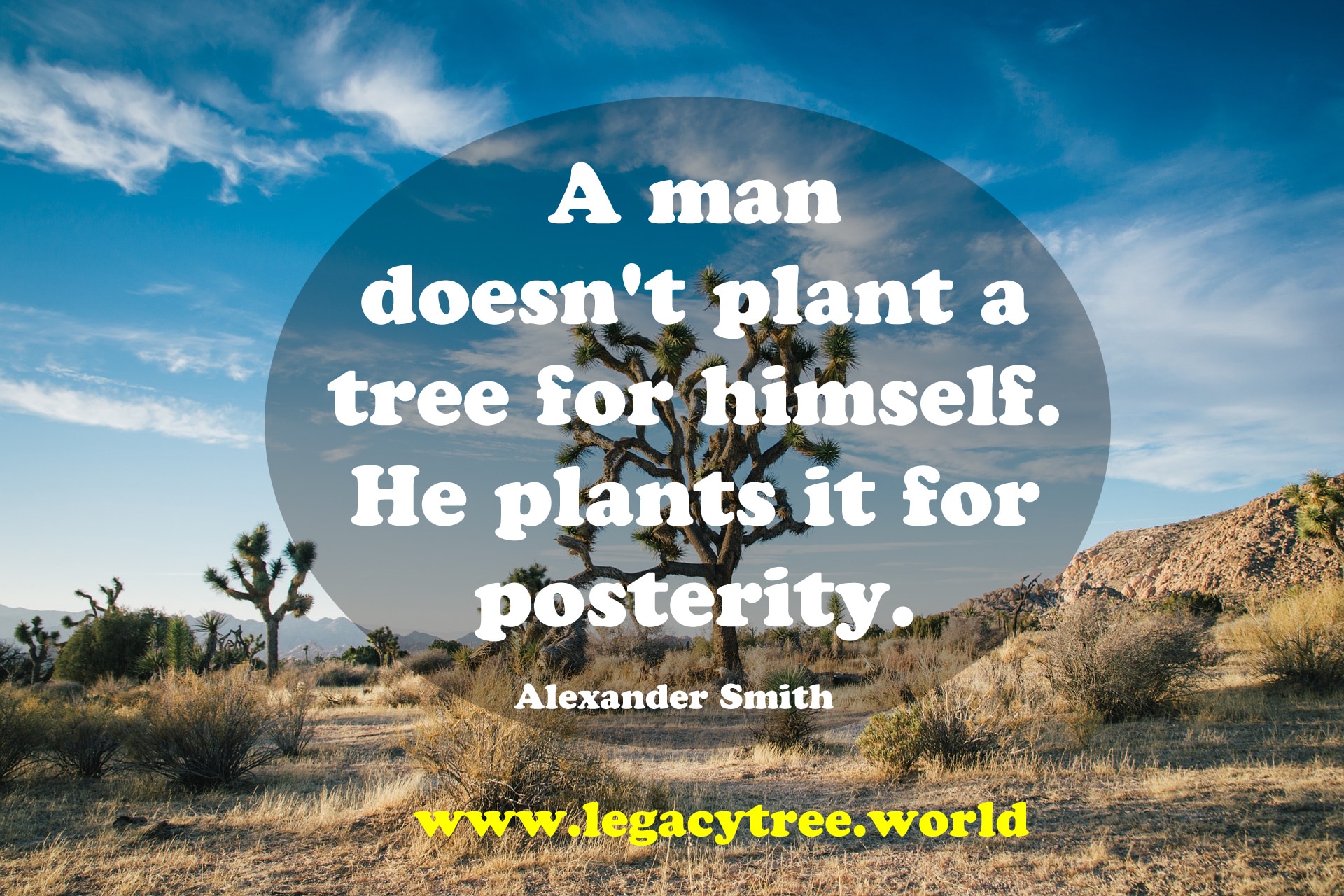 plant tree quote