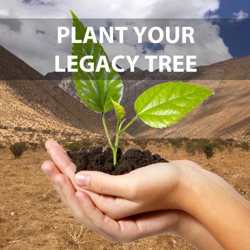 Plant A Tree. Leave A Legacy | Gift A Tree On Any Occasion