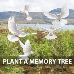 Plant a Memory Tree